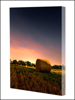 הדפסה על קנבס