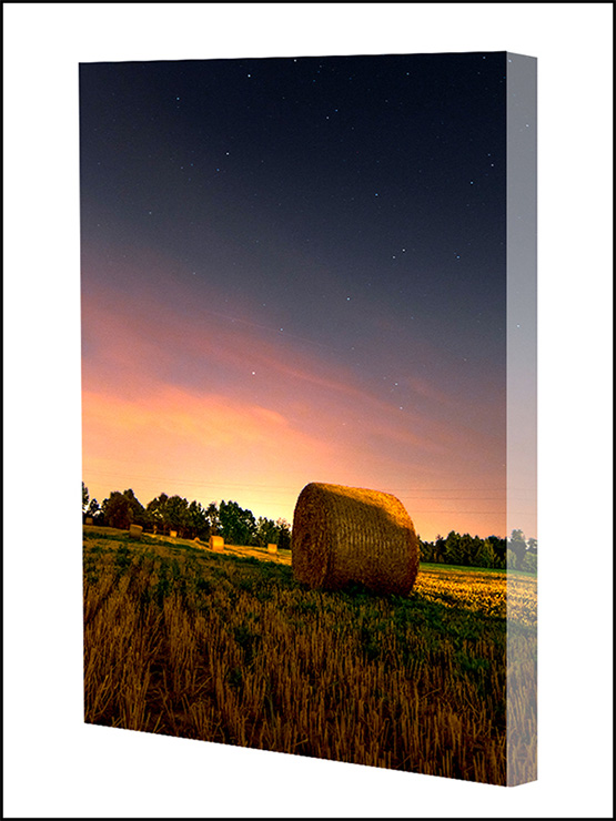 הדפסה על קנבס