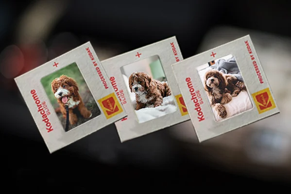 סטו-דן, סריקת שקופיות